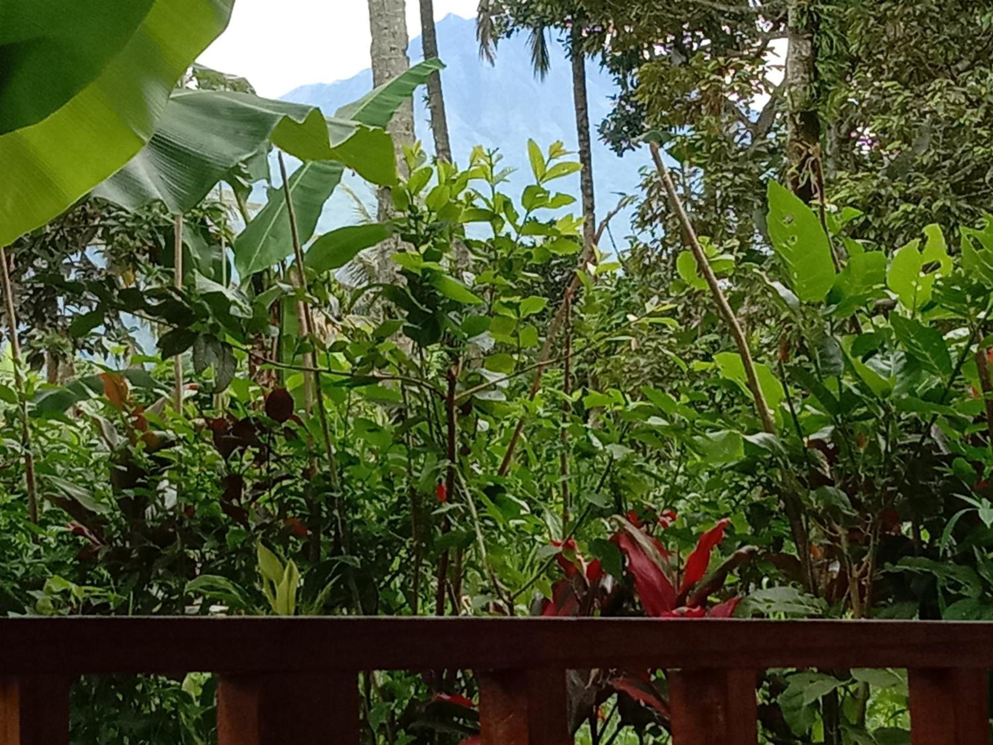 Banana Bungalows Тетебату Стая снимка